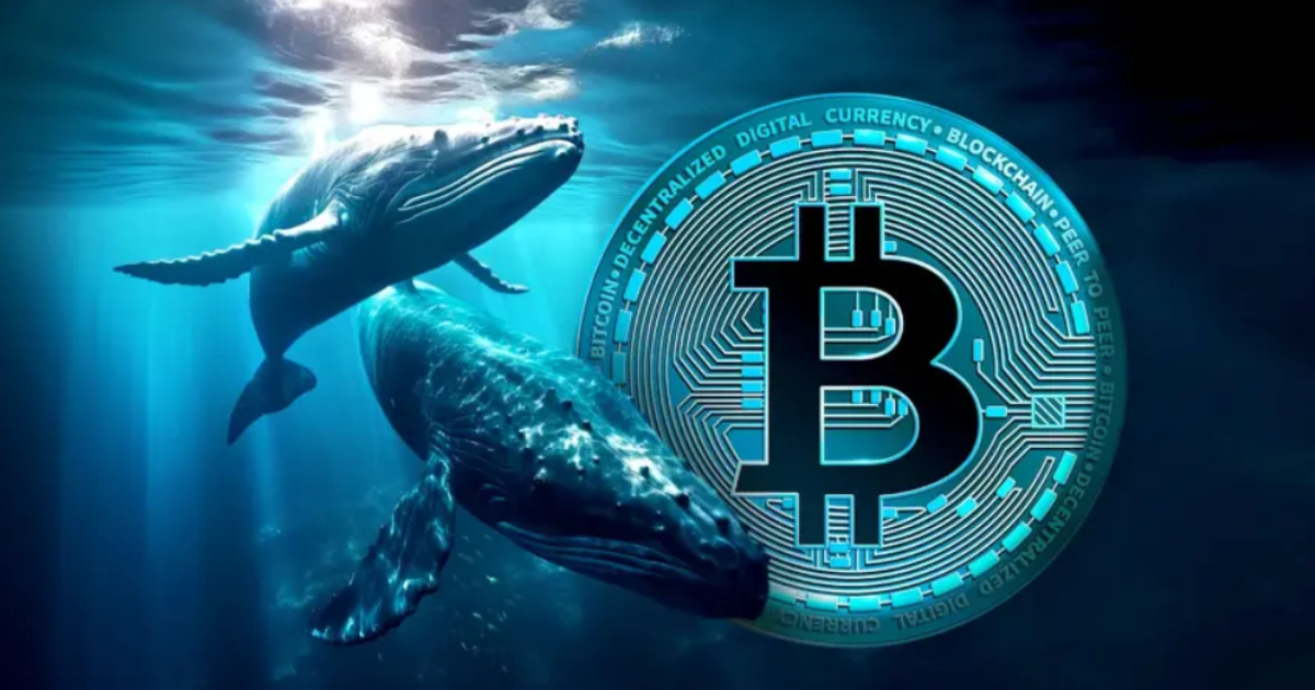 How to Identify Crypto Whales
