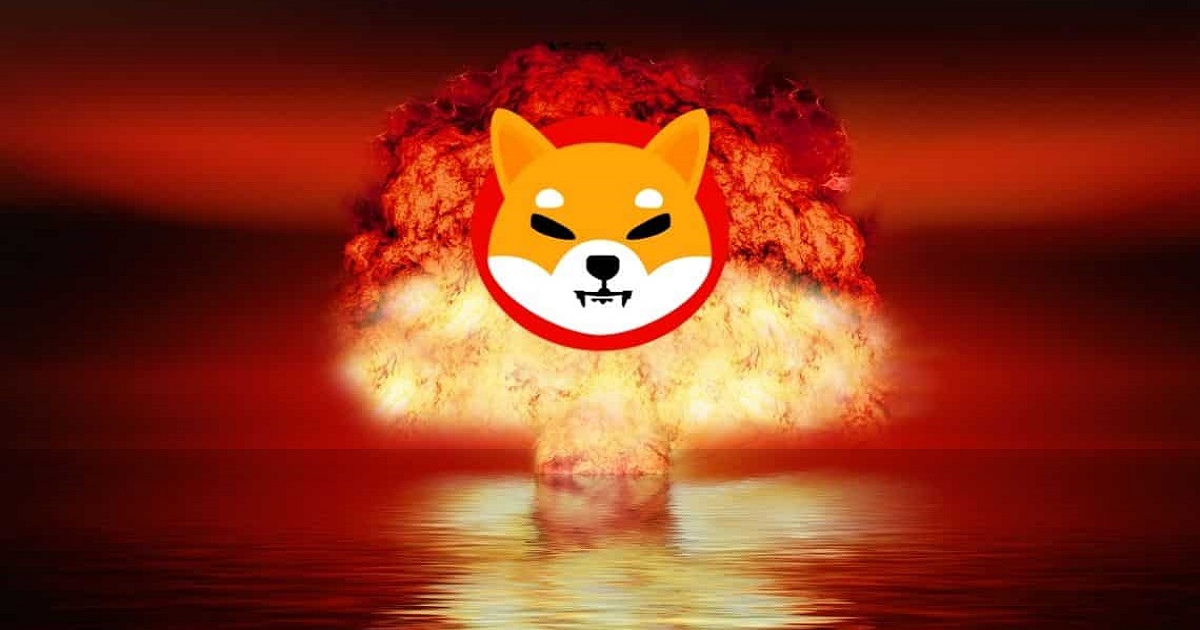 Shiba Inu jumps