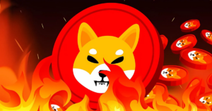 Shiba Inu Burn Rate