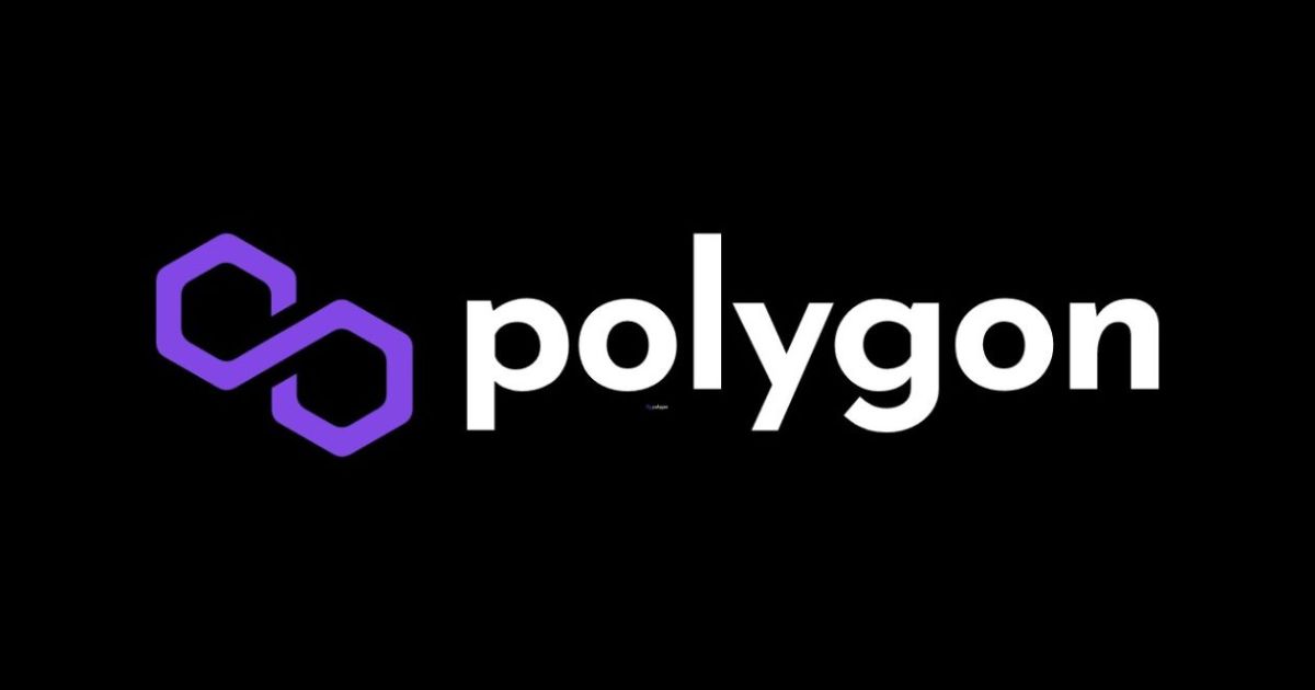 polygon altcoins portfolio 2025
