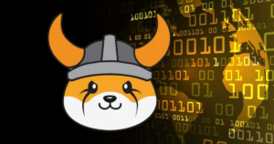 FLOKI DAO funding