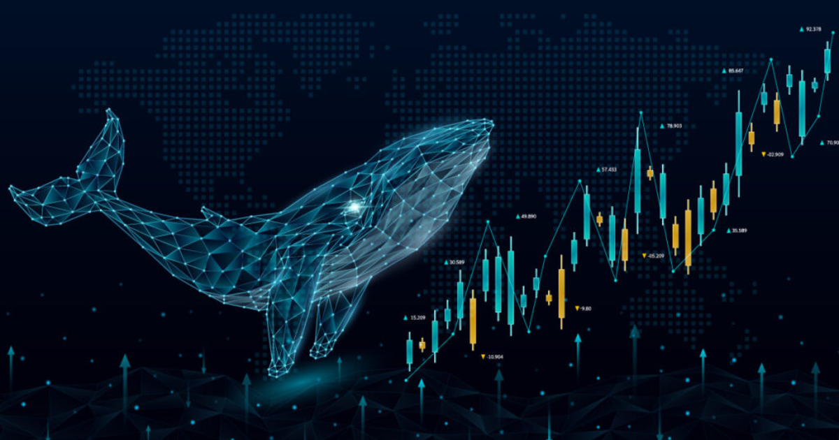 10 Signs to Spot if the Crypto Market is Rising or Falling - Beginner Guide