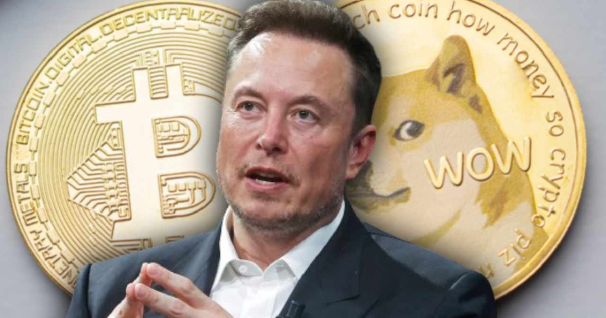 Where is Elon Musk Amid The Current Crypto Market Volatility