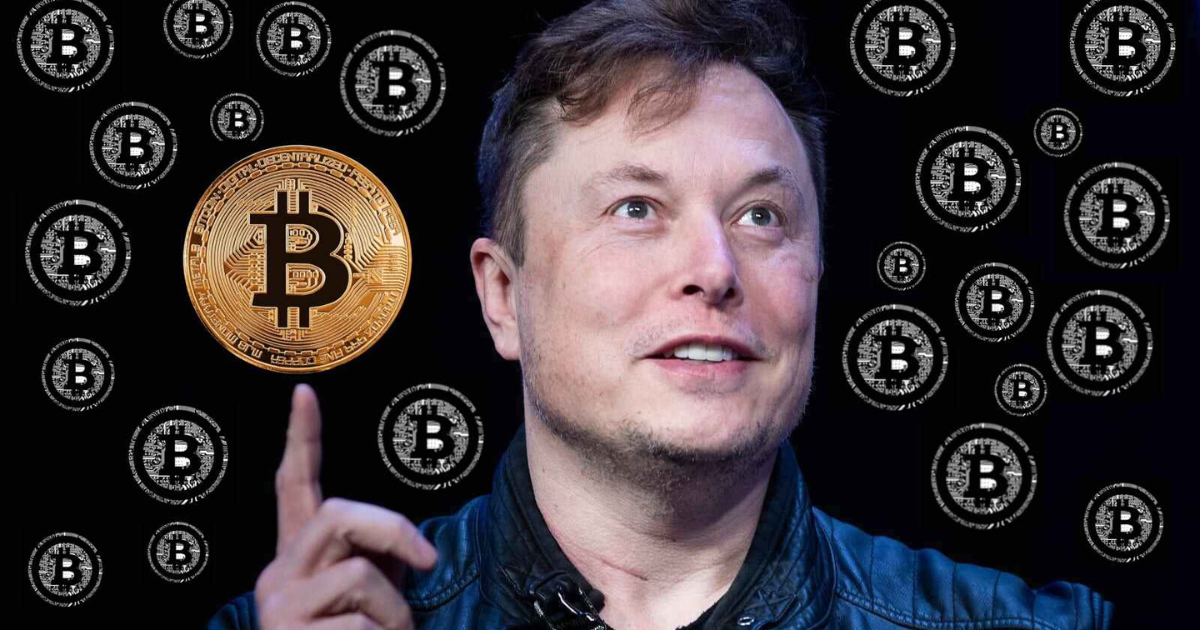 Where is Elon Musk Amid The Current Crypto Market Volatility