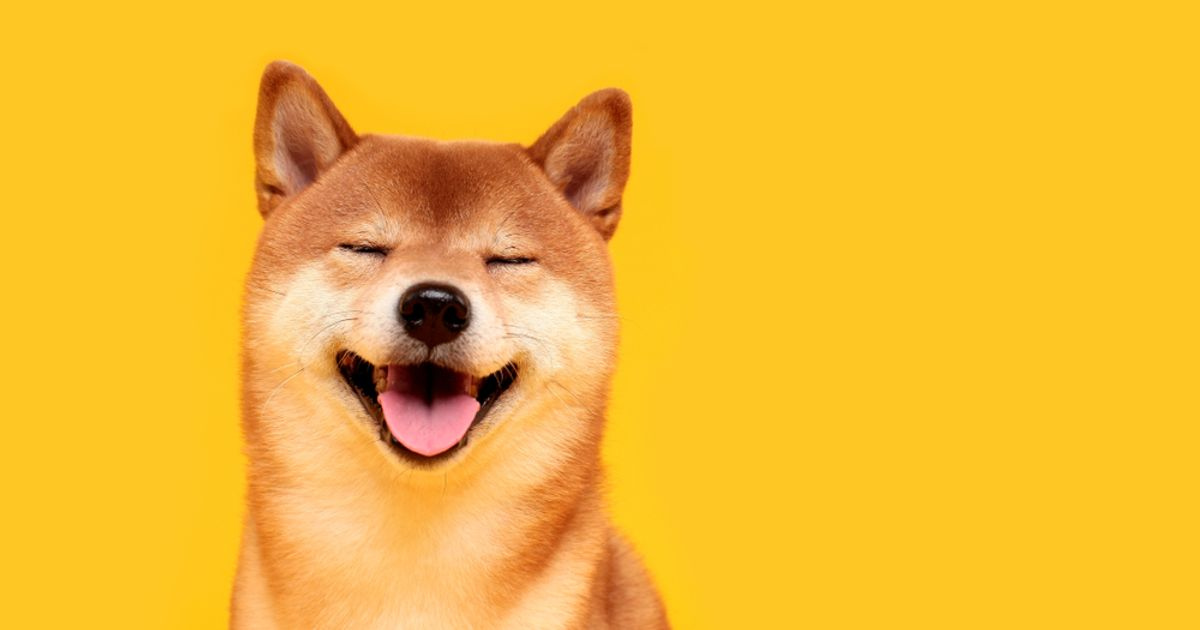 Why Did Elon Musk Change The Doge Coin to D.O.G.E