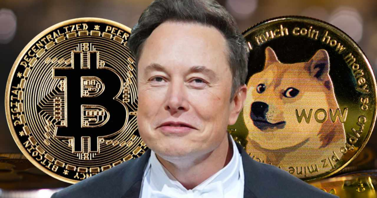 Why Did Elon Musk Change The Doge Coin to D.O.G.E
