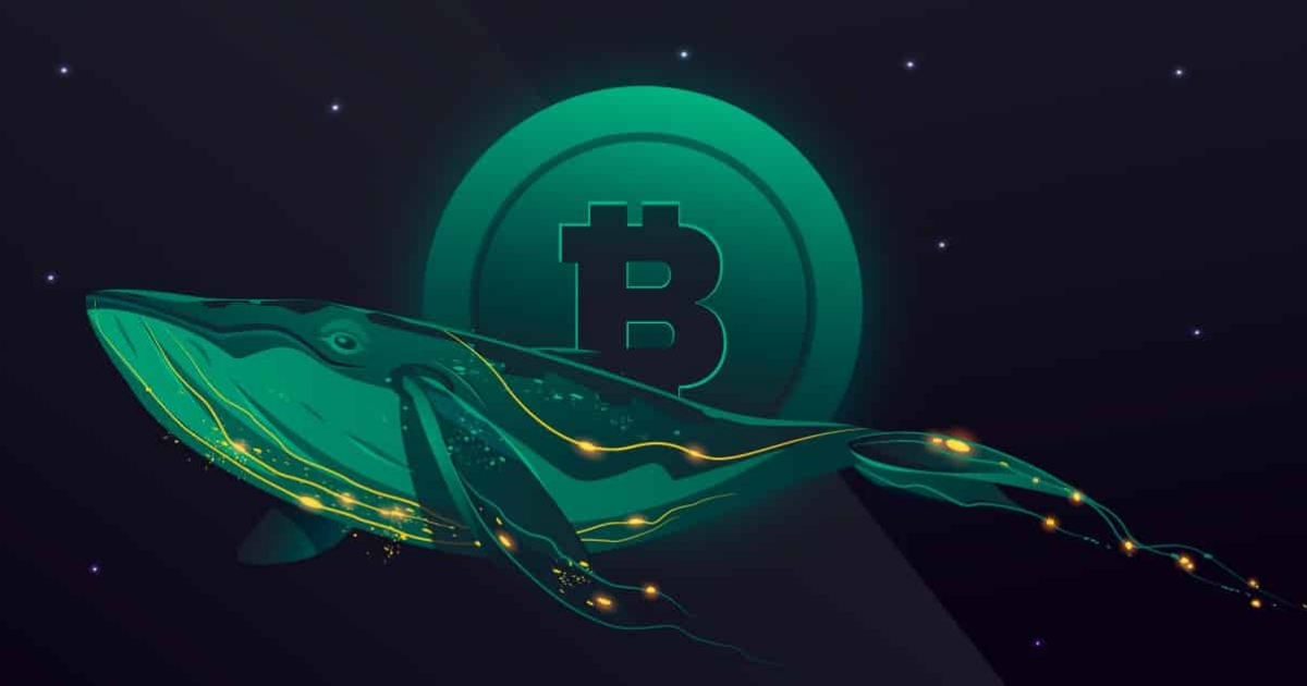 Bitcoin Whales Keep Accumulating as $94K Becomes Key Target